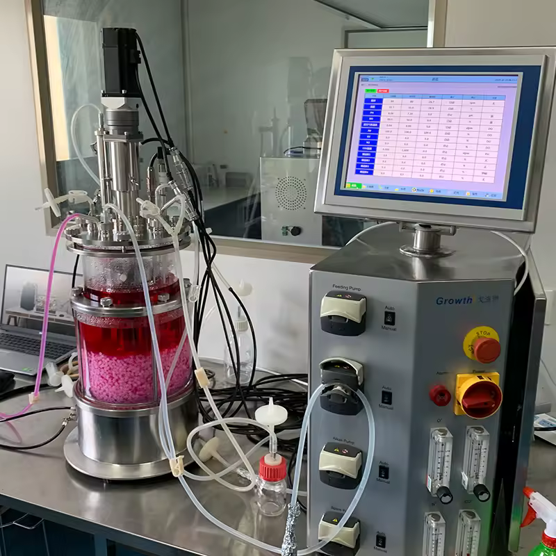 Biorreator laboratorial automático RITAI MICROIPOWER07 — 6