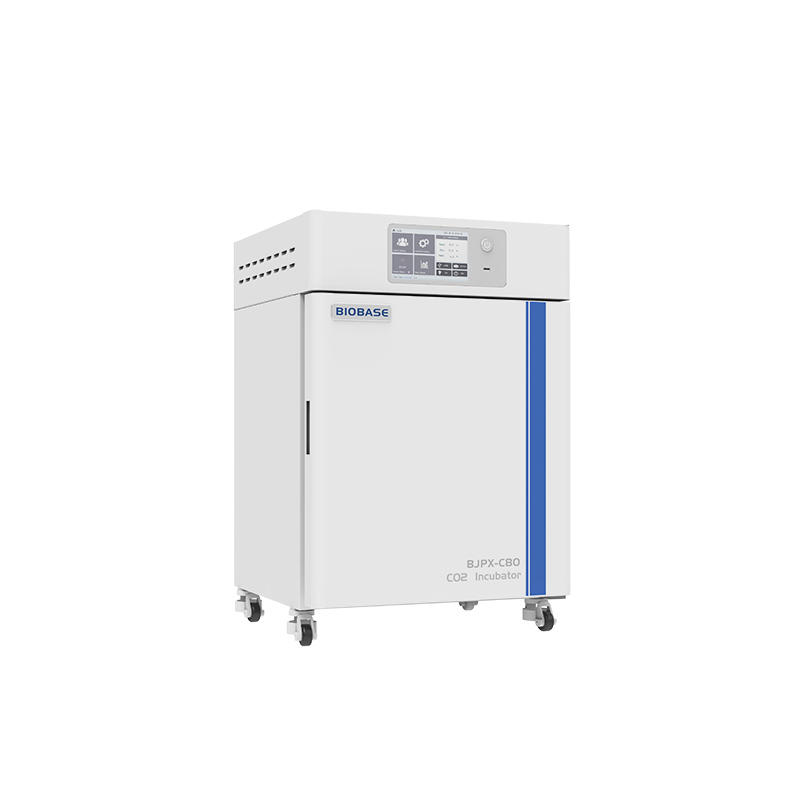 Incubadora de CO₂ BJPX-C50 BJPX-C80 BJPX-C160 BJPX-C80S BJPX-C160S BIOBASE BJPX-C50 / BJPX-C80 / BJPX-C160 / BJPX-C80S / BJPX-C160S