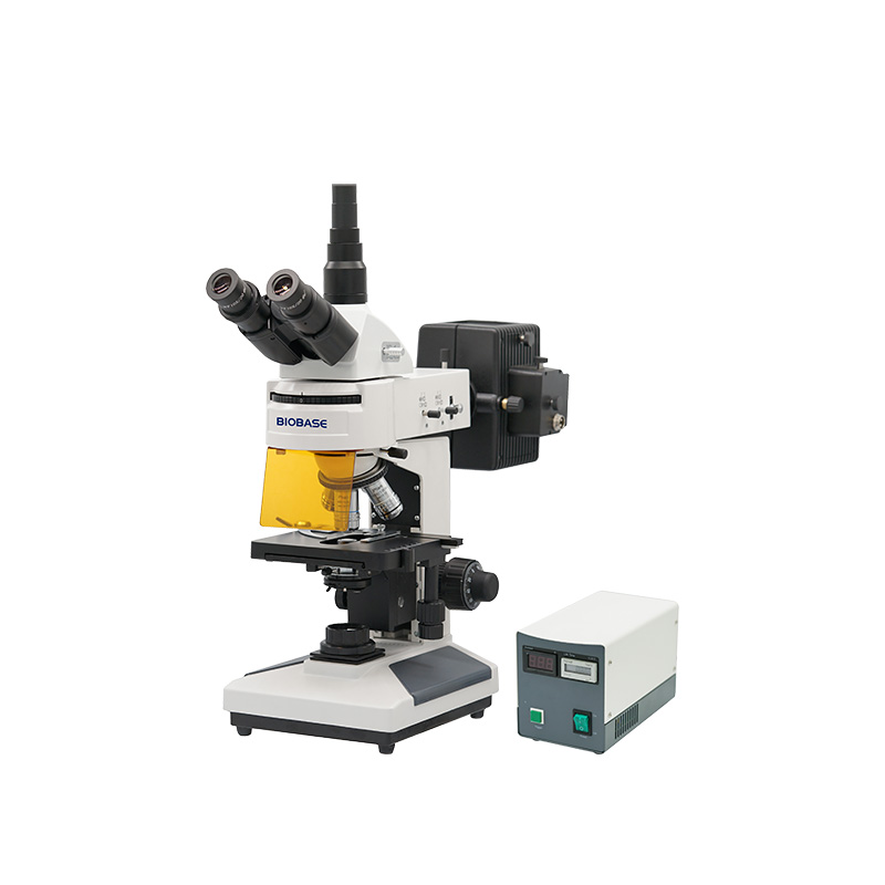 BIOBASE BFM-13CYII Fluorescence Biological Microscope