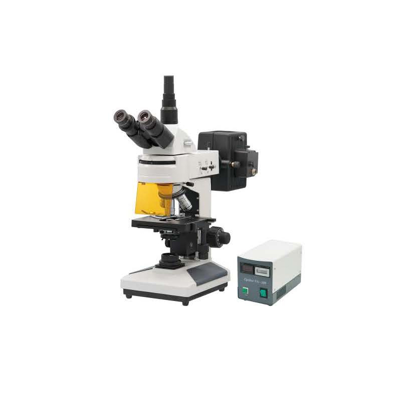 BIOBASE BM-13CYII – Microscope