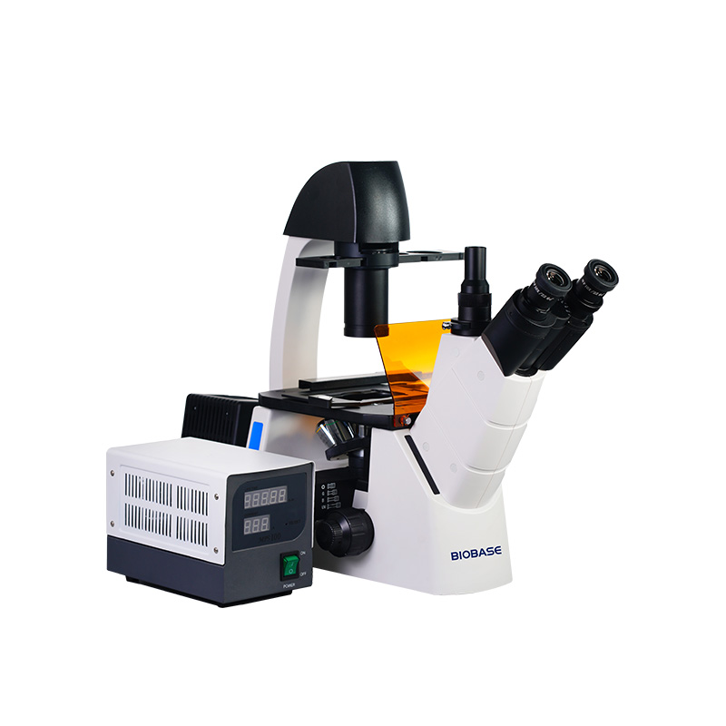 Microscópio biológico de fluorescência BFM-37XYIII BIOBASE BFM-37XYIII