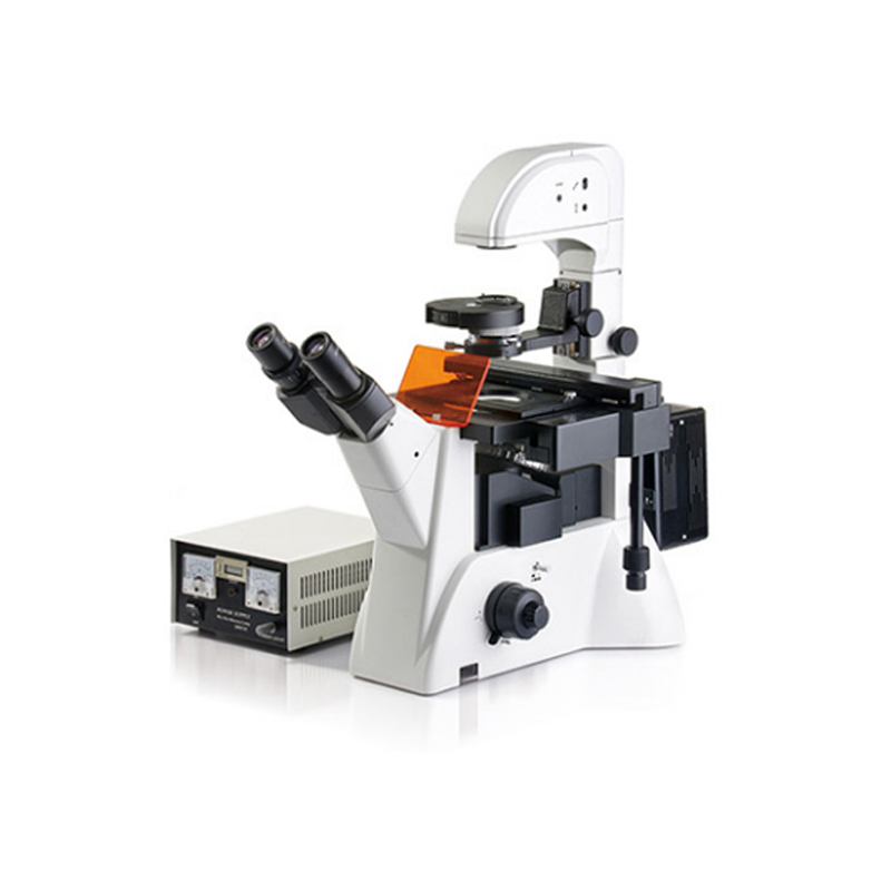 Inverted Fluorescence Microscópio (personalizável) BIOBASE BBM-38XIID