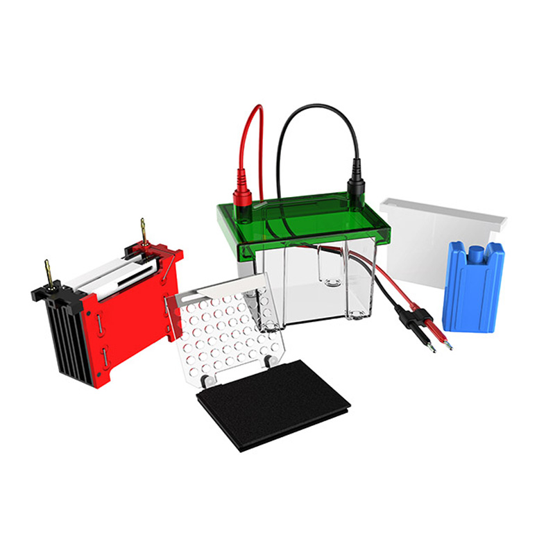 Cuba de eletroforese para Western blot BK-TET01 BIOBASE BK-TET01