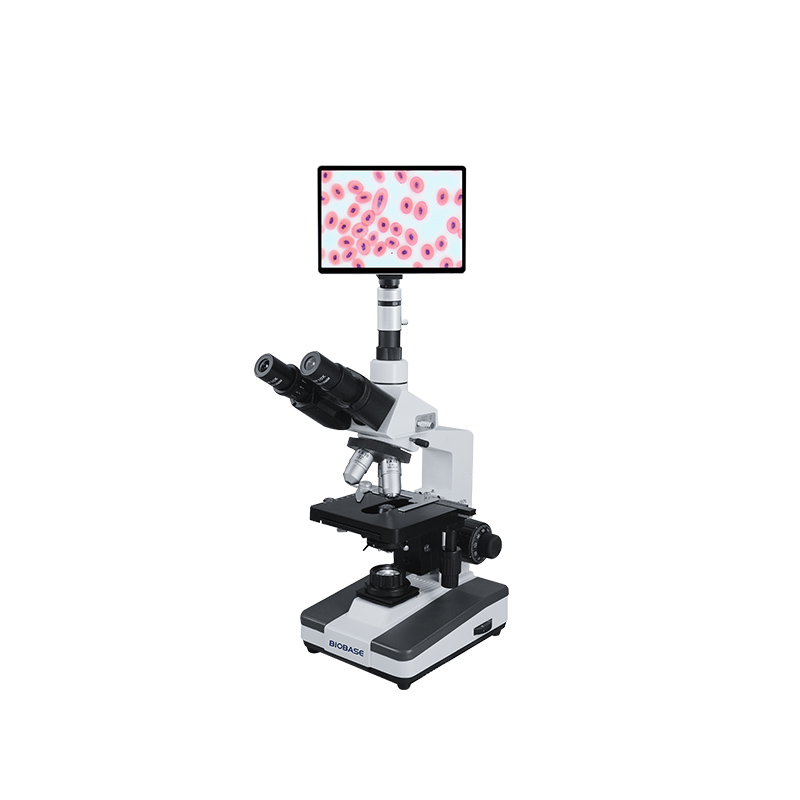 BIOBASE BM-2CBAD / BM-2CBAP / BM-8CAD / BM-8CAP – Biologisches Mikroskop BM-2CBAD BM-2CBAP BM-8CAD BM-8CAP — 4
